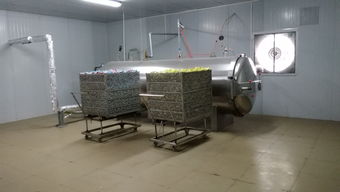 食品廠轉型良機 咸蛋廠整線設備打包轉讓，含鍋爐、殺菌鍋、洗蛋機等